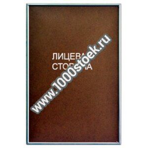 Рамки NIELSEN для постеров и плакатов